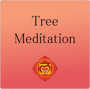 Tree Meditation - Guided Meditation - LunaHolistic.com