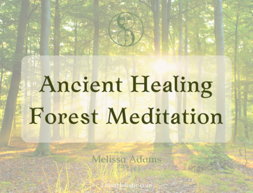 Ancient Healing Forest Meditation