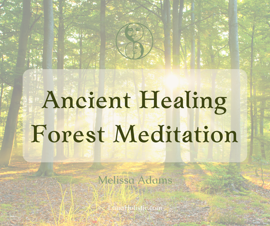 Ancient Healing Forest Meditation - Melissa Adams - LunaHolistic.com