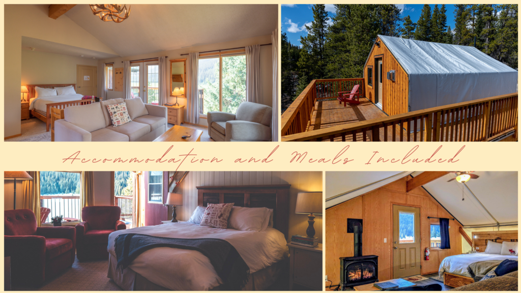Accommodation and Meals Included - LunaHolistic Retreat 2023 - Kananaskis Alberta Canada