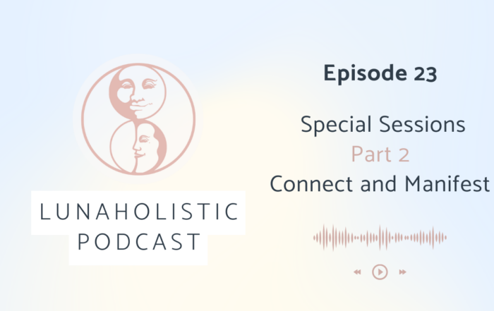 Episode 23 - Special Sessions Part 2 - Connect and Manifest.