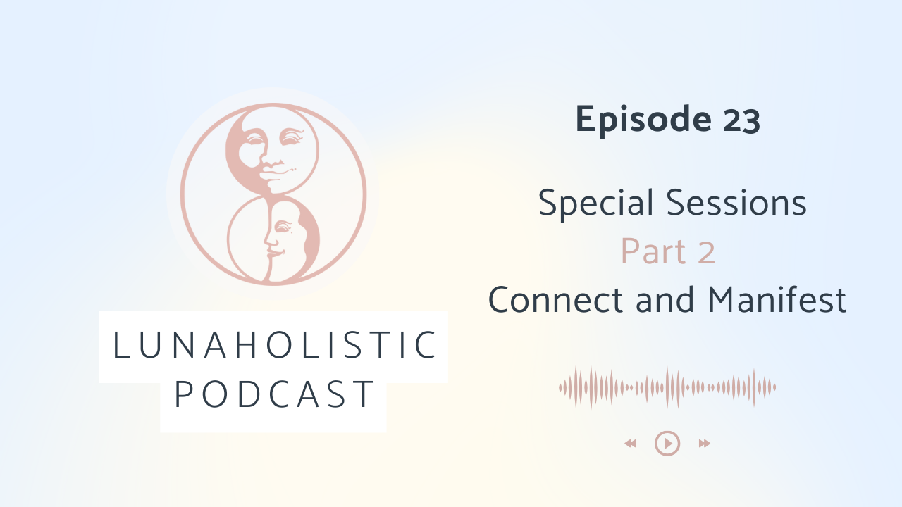 Episode 23 - Special Sessions Part 2 - Connect and Manifest.
